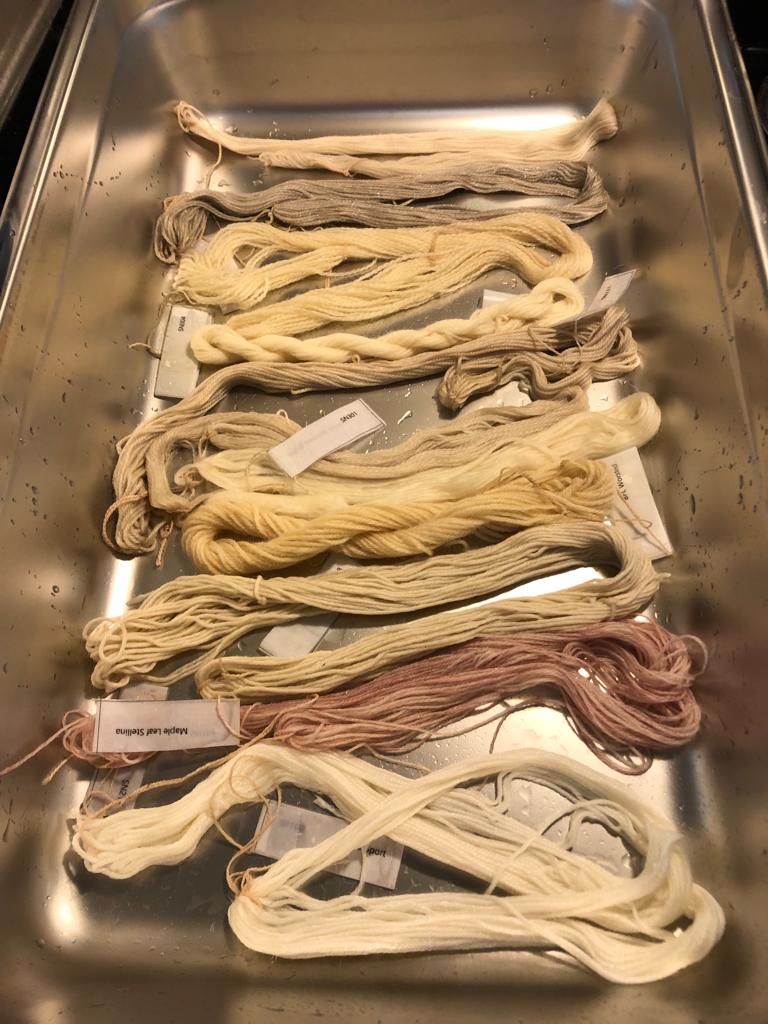 several undyed mini skeins of yarn in a restaurant pan waiting to be dyed.
